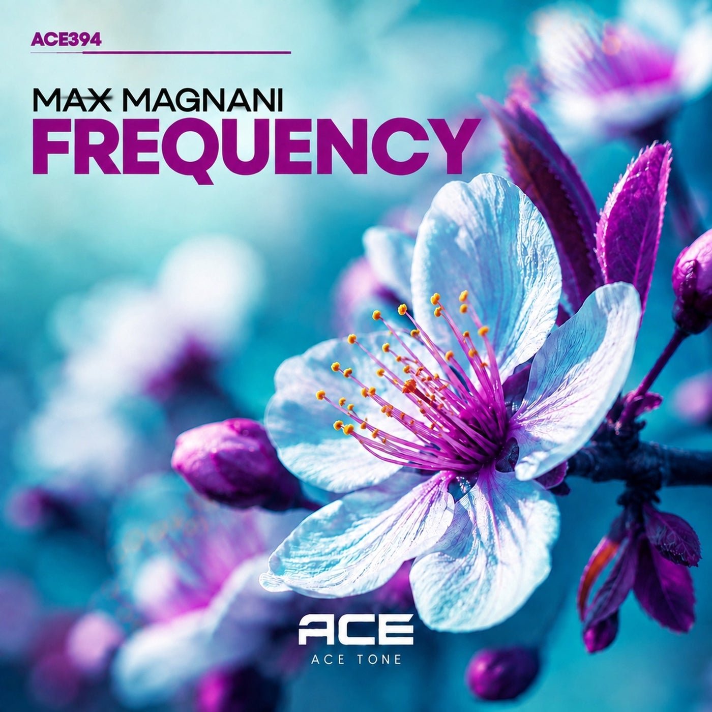 Cover - Max Magnani - Frequency (Original Mix) 
