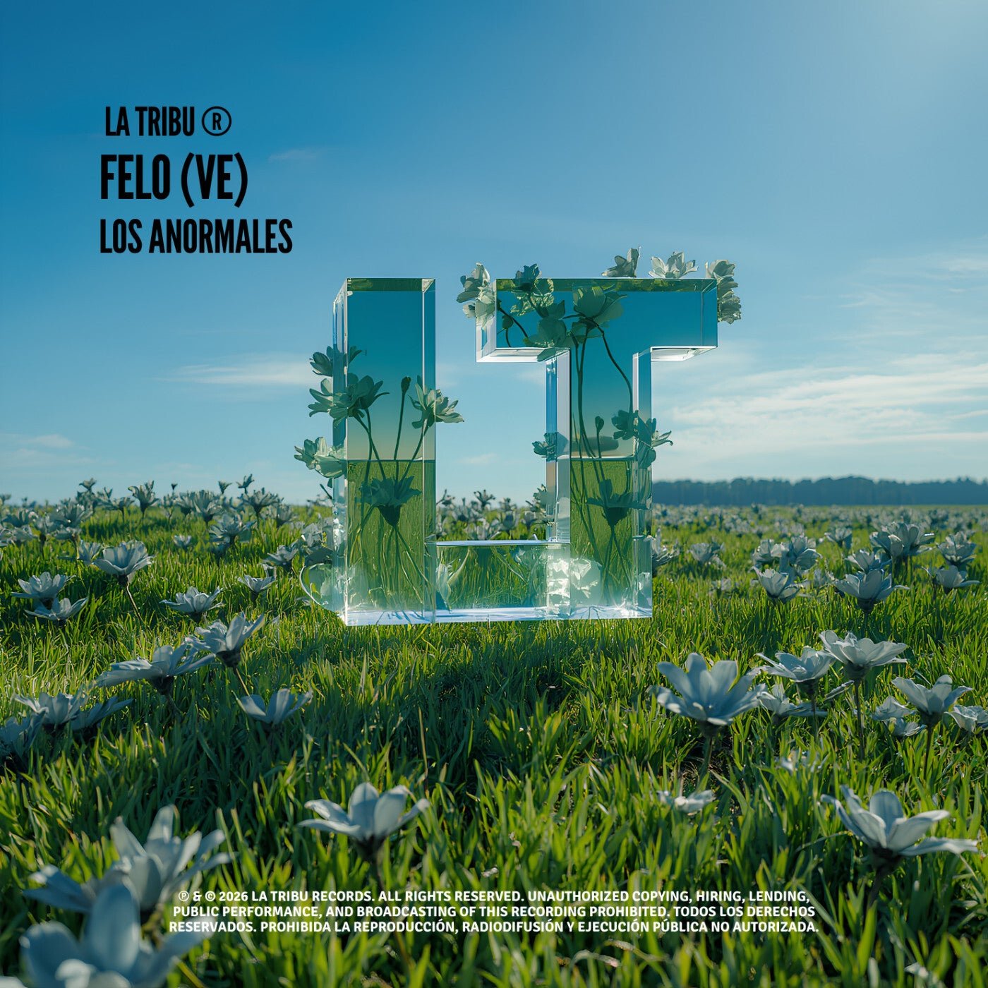 Cover - RandyRM, Felo (VE) - Los Anormales (Original Mix) 