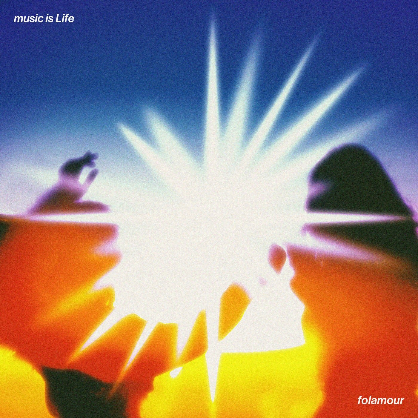Cover - Folamour - Music is Life (Original Mix) 
