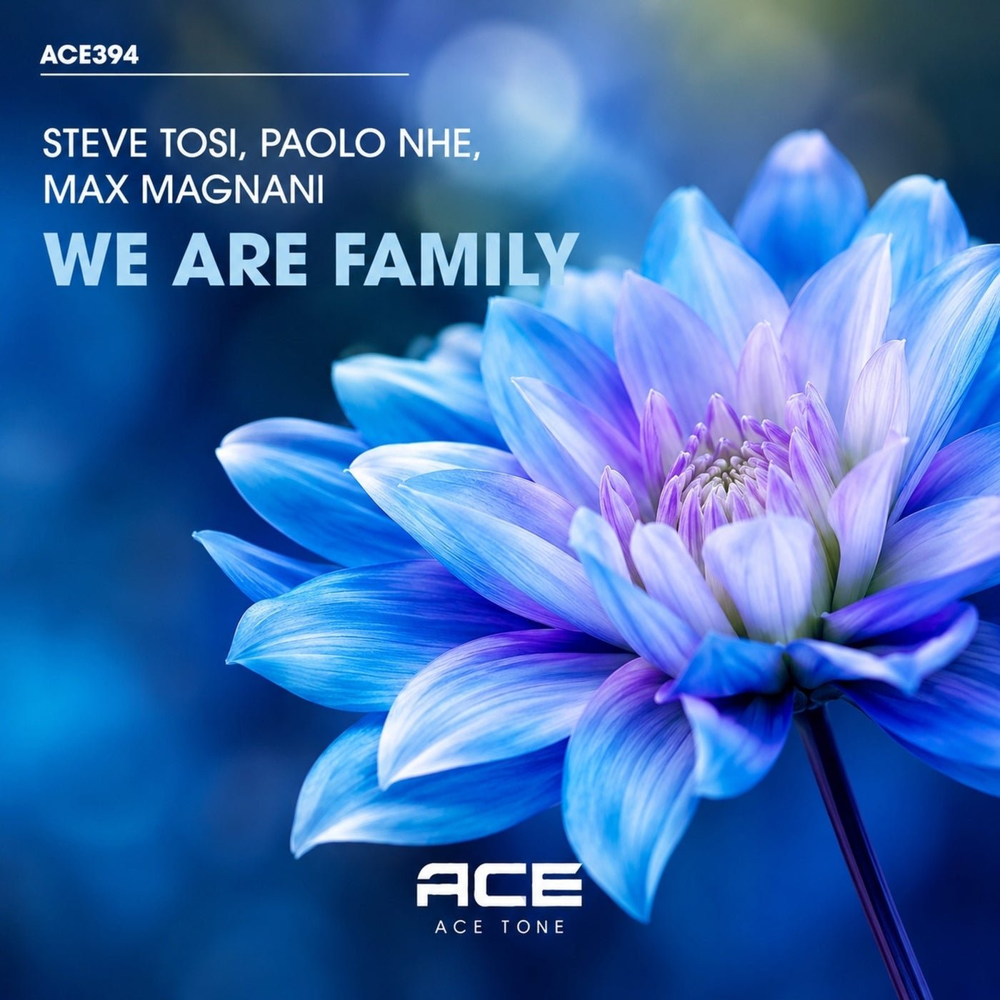 Cover - Steve Tosi, Max Magnani, Paolo nhe - We Are Family (Original Mix) 