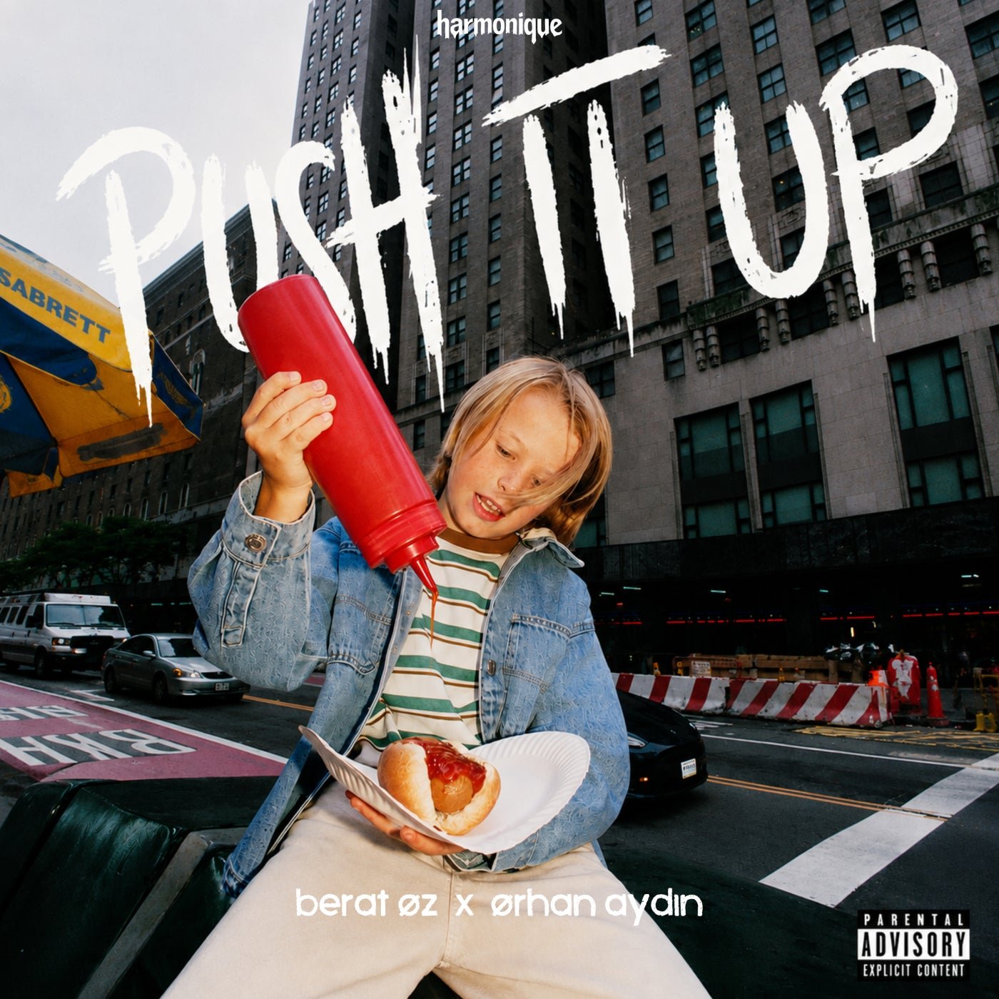 Cover - Berat Oz, Orhan Aydin - Push It UP (Original Mix) 
