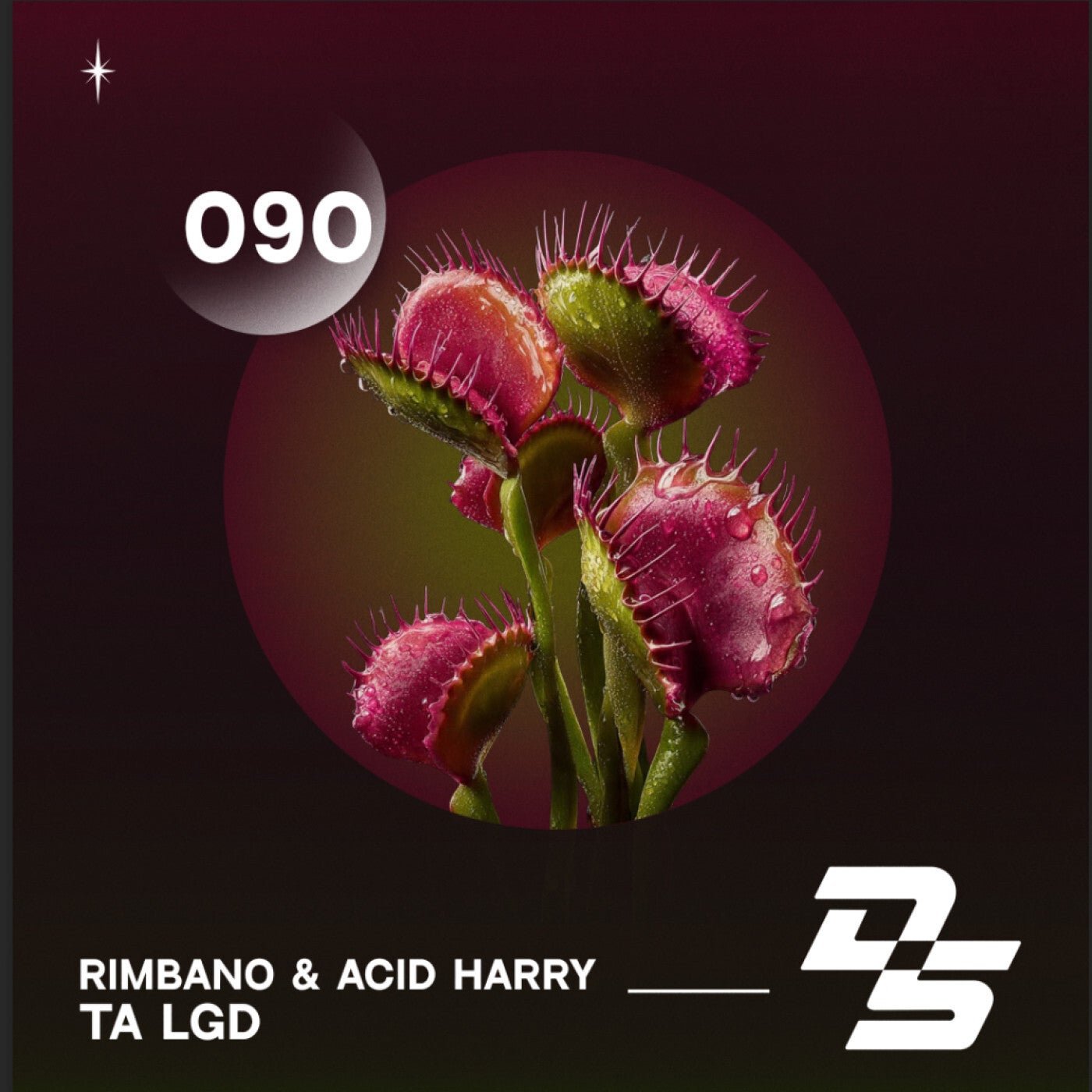 Cover - Rimbano, ACID HARRY - Ta LGD (Extended mix) 