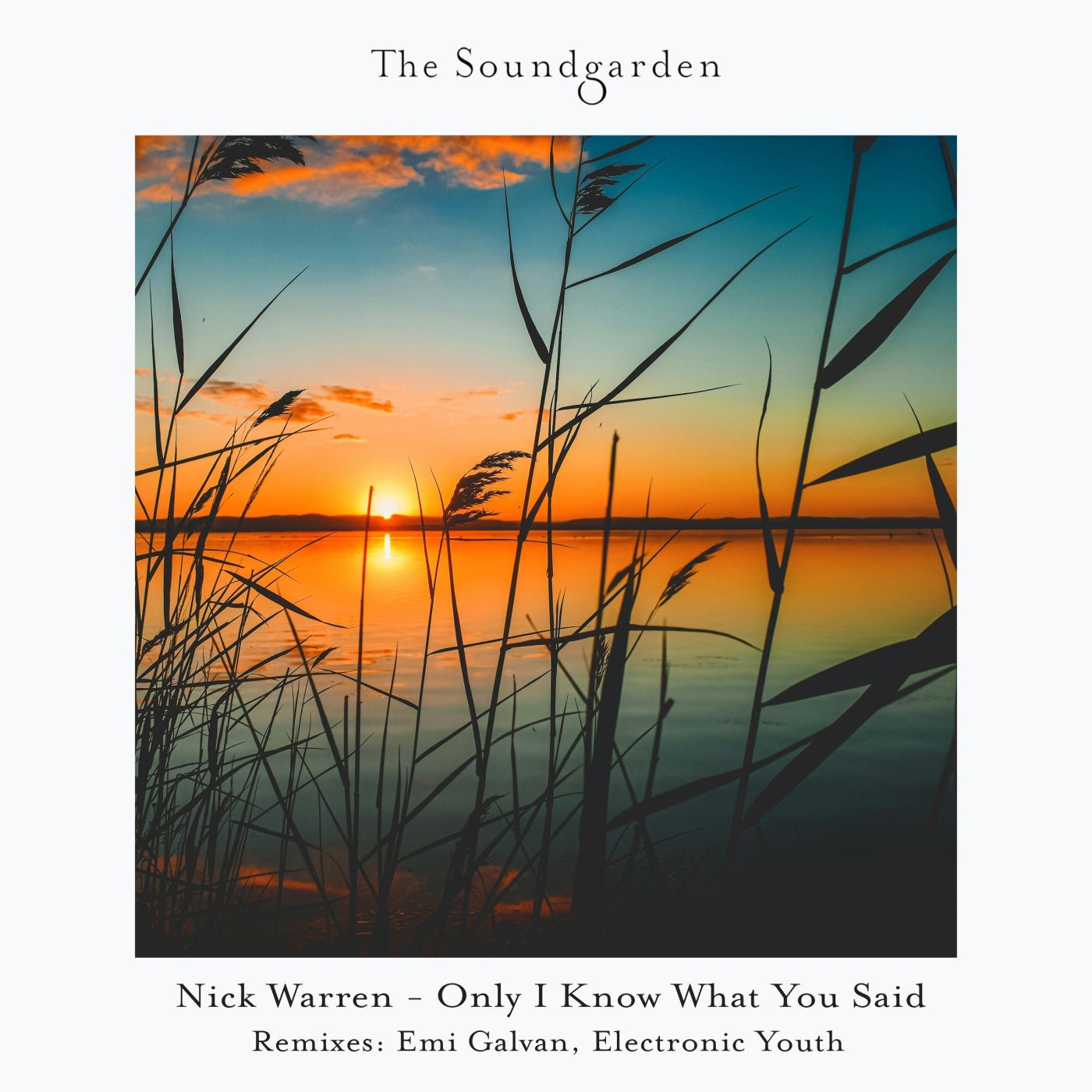 Cover - Nick Warren - Only I Know What You Said (Electronic Youth Extended Remix) 