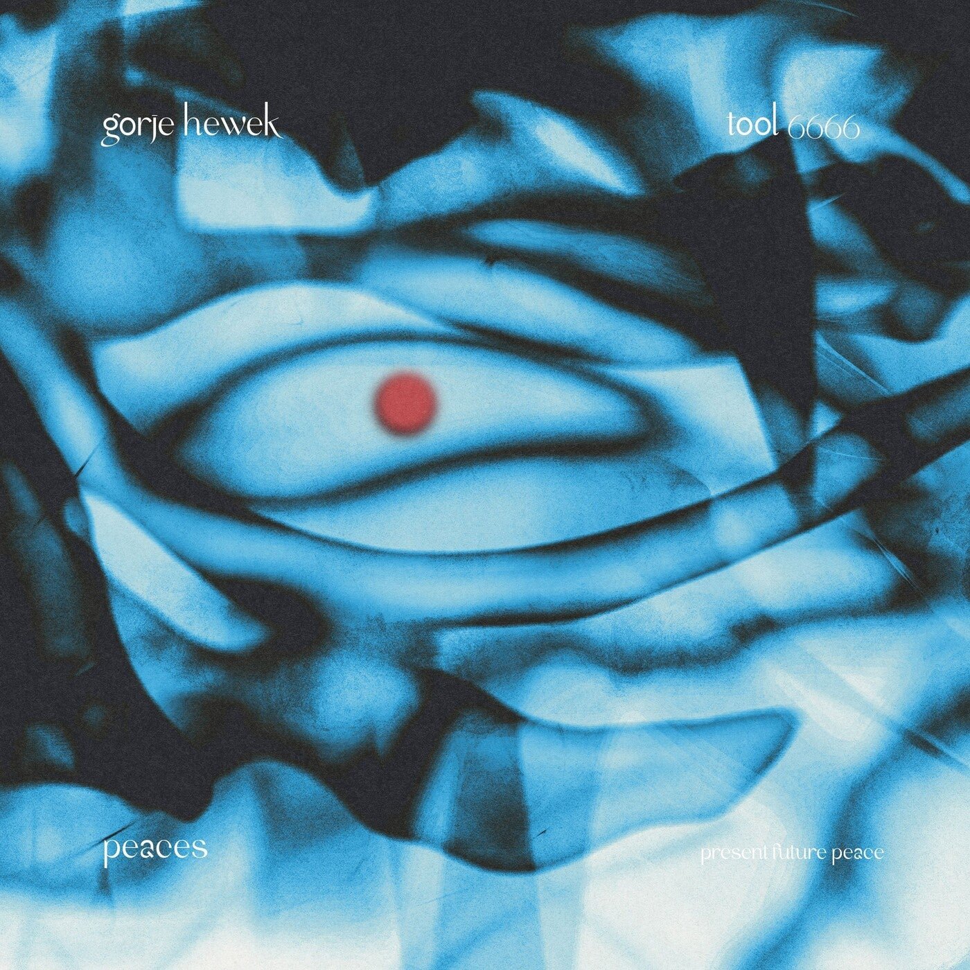 Cover - Gorje Hewek - Tool 6666 (Original Mix) 