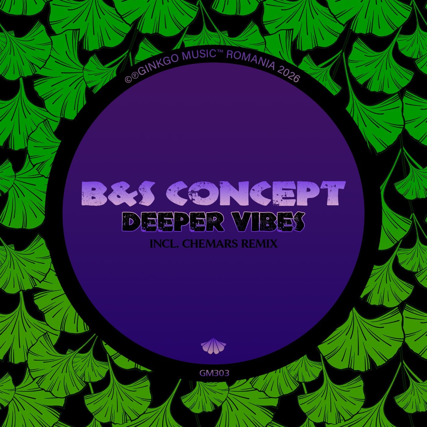 Cover - B&S Concept - Deeper Vibes (Chemars Remix) 
