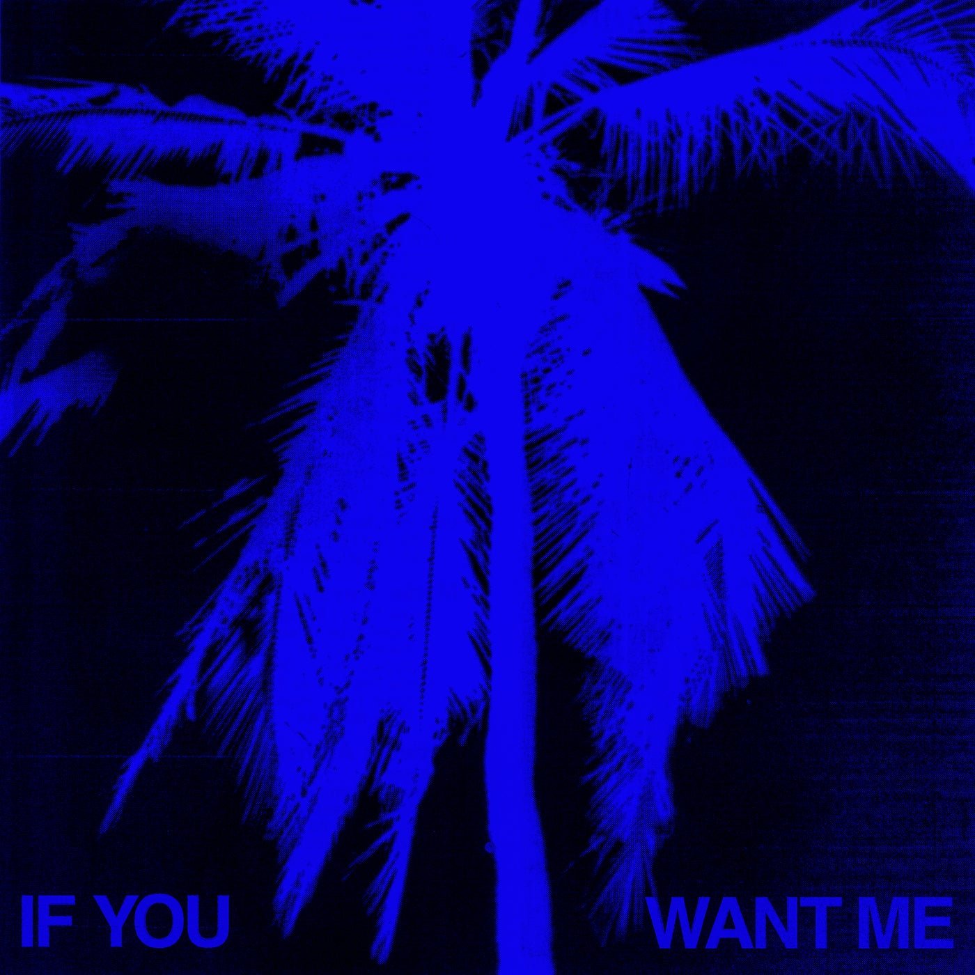 Cover - SG Lewis, Loods - If You Want Me (Extended) 