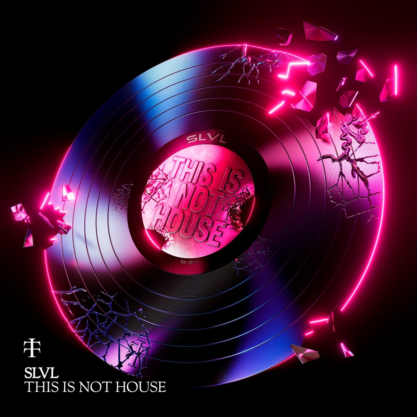 Cover - SLVL, TELETECH - THIS IS NOT HOUSE (Extended Mix) 