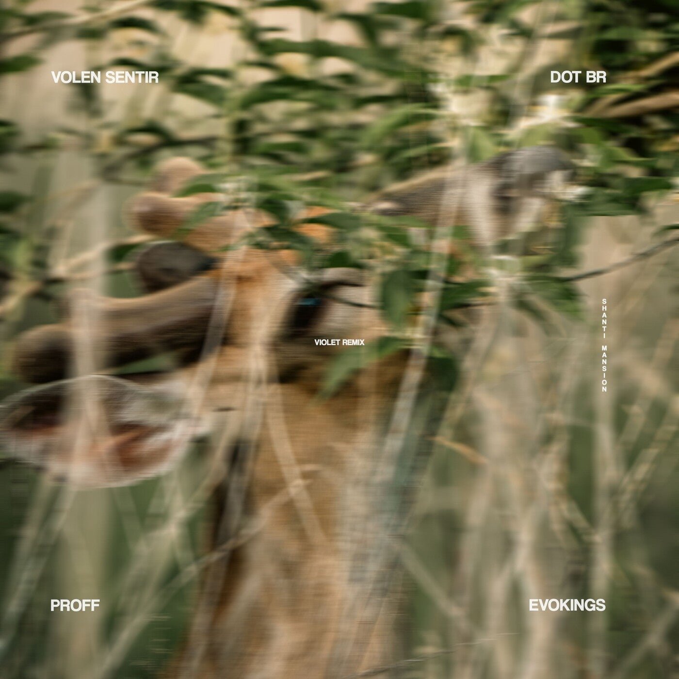 Cover - PROFF, Volen Sentir - Violet (DOT [BR] & Evokings Remix) 